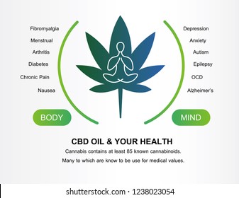 cbd oil and your health