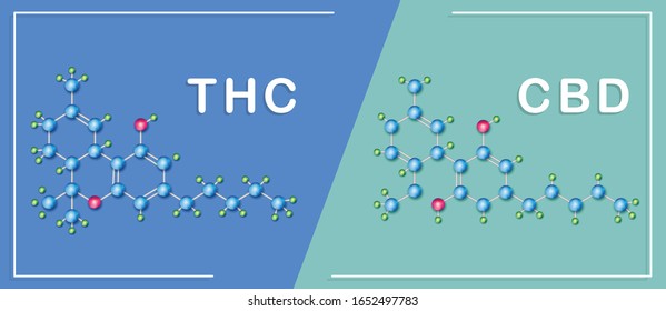 CBD and THC chemical formula of cannabis,vector infographic  poster on background.
