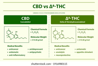 CBD vs ∆8-THC, Cannabidiol vs Delta 8 Tetrahydrocannabinol horizontal infographic illustration about cannabis as herbal alternative medicine and chemical therapy, healthcare and medical science vector