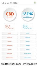 CBD vs ∆8-THC, Cannabidiol vs Delta 8 Tetrahydrocannabinol vertical business infographic illustration about cannabis as herbal alternative medicine and chemical therapy, healthcare and medical vector.