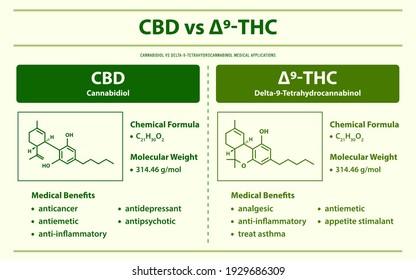 CBD vs ∆9-THC, Cannabidiol vs Delta 9 Tetrahydrocannabinol horizontal infographic illustration about cannabis as herbal alternative medicine and chemical therapy, healthcare medical science vector.