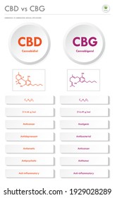 CBD vs. CBG, Cannabidiol vs. Cannabigerol vertikale Geschäftsbereiche, in denen Cannabis als alternative pflanzliche Medizin und chemische Therapie, Gesundheitswesen und medizinische Wissenschaft dargestellt wird.