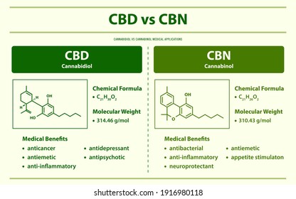 CBD vs. CBN, Cannabidiol vs. Cannabinol horizontale Infografik über Cannabis als pflanzliche alternative Medizin und chemische Therapie, Gesundheitswesen und medizinische Wissenschaft.