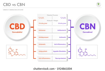 CBD vs CBN, Cannabidiol vs Cannabinol horizontal business infographic illustration about cannabis as herbal alternative medicine and chemical therapy, healthcare and medical science vector.