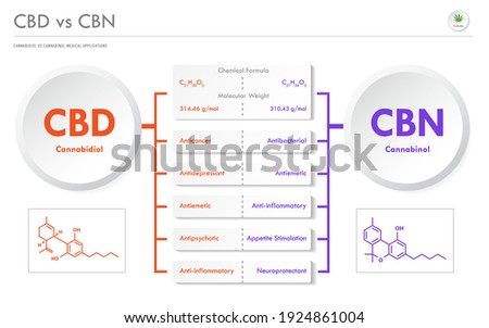 CBD vs CBN, Cannabidiol vs Cannabinol horizontal business infographic illustration about cannabis as herbal alternative medicine and chemical therapy, healthcare and medical science vector.