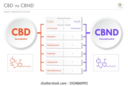 CBD vs CBND, Cannabidiol vs Cannabinodiol horizontal business infographic illustration about cannabis as herbal alternative medicine and chemical therapy, healthcare and medical science vector.
