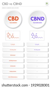 CBD frente a CBND, Cannabidiol frente a Cannabinodiol, ilustración infográfica vertical de negocios sobre el cannabis como medicina alternativa herbaria y terapia química, salud y vector de ciencia médica.