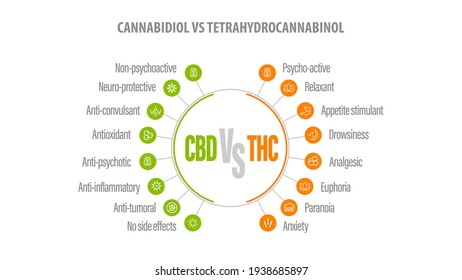 CBD vs THC, Liste der Unterschiede mit Symbolen. Weißer Banner mit Vergleich CBD und THC.