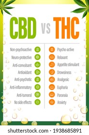 CBD vs THC, Poster mit Vergleich CBD und THC, Liste der Unterschiede mit Symbolen.