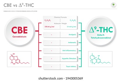 CBE vs ∆9-THC, Cannabidiol vs Delta 9 Tetrahydrocannabinol horizontal business infographic illustration about cannabis as herbal alternative medicine and chemical therapy, healthcare medical science.
