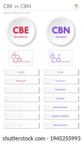 CBE vs CBN, Cannabielsoin vs Cannabinol ilustración vertical de la infografía de negocios sobre el cannabis como medicina alternativa herbaria y terapia química, salud y vector de ciencia médica.