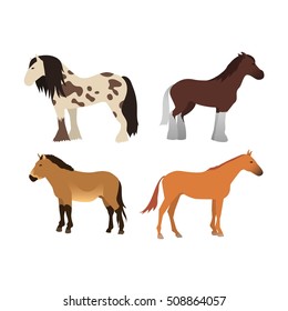 Ccartoon horse on white background