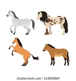Ccartoon horse on white background