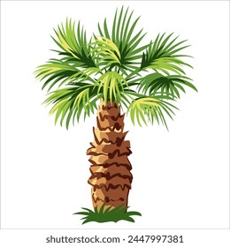Ccartoon palm tree isolated on white background