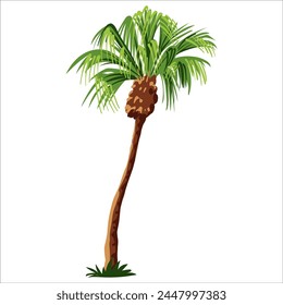 Ccartoon palm tree isolated on white background