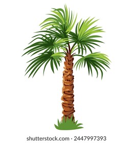 Ccartoon palm tree isolated on white background