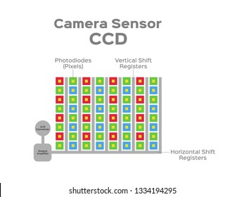 Ccd And Cmos Sensor Vector / Camera Sensor