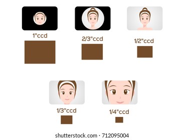 ccd compare to women scale vector graphic