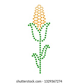 Ccorn harvest dotted line simple icon. Vector illustration of agriculture vegetable image. Original symbol of plant goods and fertilizers.