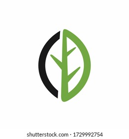 CD logo design, leaf vector logo
