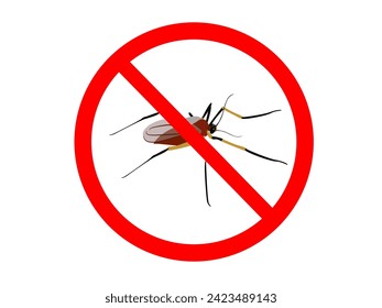 Cecidomyiidae on a white background.