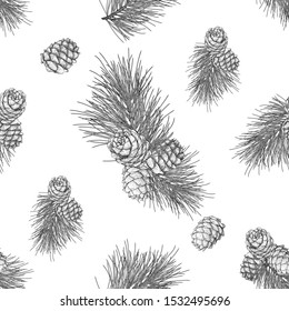Cedar branch with cones seamless pattern. Vector illustration in engraving technique. Isolated on white background.