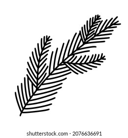 Cedar branch vector icon. Hand drawn doodle. Sprig with thorns sketch. Botanical outline. Black and white concept of a festive plant for decoration, design of cards, invitations, printing, textiles