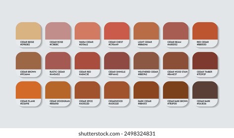 Cedar Color Palette, Cedar Color Guide Palette with Color Names. Catalog Samples of the Brown with RGB HEX codes and Names. Wood Color Palette Vector, Water base, Paint, Fashion Trend Brown Colors