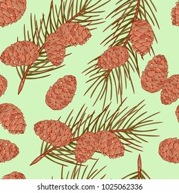 Cedar. A cone, a branch. Green background. Sketch. Wallpaper, seamless.