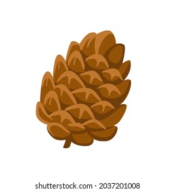 Cedar cone cartoon illustration. Single simple vector hand-drawn isolated icon.