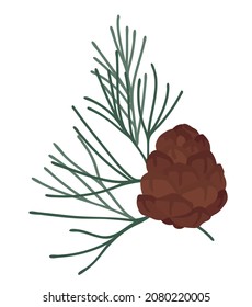 Cedar cone. Nut. Coniferous branch. Cedar, pine, spruce.