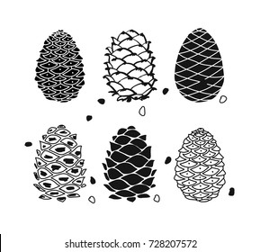 Cedar cone set, sketch for your design