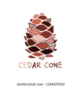 Cedar cone, sketch for your design