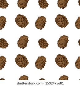 Cedar cones seamless pattern. Colorful vector illustration of cedar cones in engraving technique. Isolated on white background.