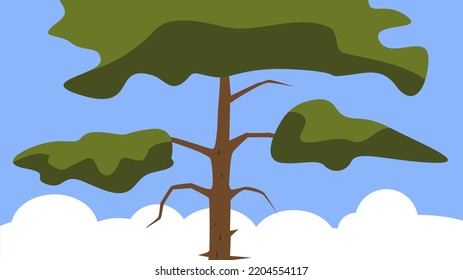Cedar, coniferous tree, illustration, vector