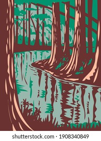 Cedar Creek at the Congaree National Park in Central South Carolina United States of America WPA Poster Art