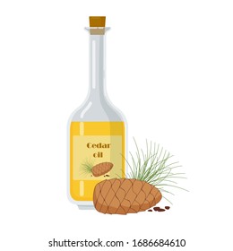 Cedar essential oil in glass bottle isolated on white background. Pine cone, green needles vector Illustration. Aromatherapy, product for organic shop .