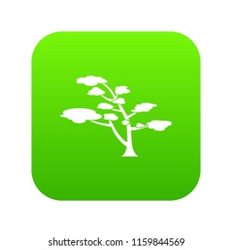 Cedar icon digital green for any design isolated on white vector illustration