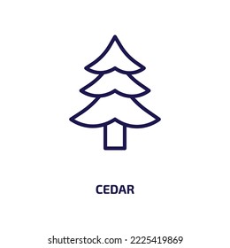 cedar icon from nature collection. Thin linear cedar, tree, plant outline icon isolated on white background. Line vector cedar sign, symbol for web and mobile