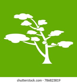 Cedar icon white isolated on green background. Vector illustration