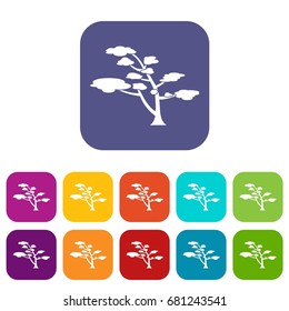 Cedar icons set vector illustration in flat style in colors red, blue, green, and other