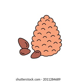 Cedar сolor line icon. Essential oils fruit seeds. Pictogram for web page, mobile app, promo. UI UX GUI design element. Editable stroke.