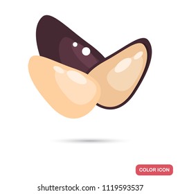 Cedar nuts color flat icon