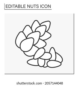  Cedar nuts line icon. Nuts for protection of the immune system, and high in fats, protein, and other vitamins. Nuts concept. Isolated vector illustration. Editable stroke