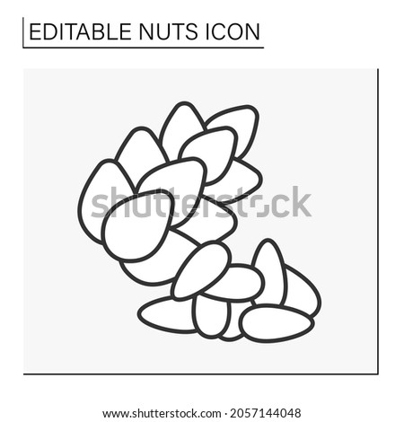  Cedar nuts line icon. Nuts for protection of the immune system, and high in fats, protein, and other vitamins. Nuts concept. Isolated vector illustration. Editable stroke