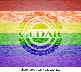 Cedar on mosaic background with the colors of the LGBT flag