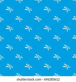 Cedar pattern repeat seamless in blue color for any design. Vector geometric illustration