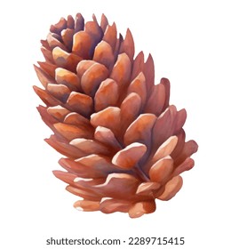 Cedar Pine Cone Isolated Hand Drawn Painting Illustration