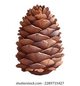 Cedar Pine Cone Isolated Hand Drawn Painting Illustration