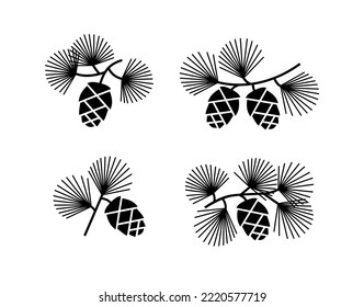 Cedar or pine cones on branches with needles. Vector black illustrations set isolated on white background.